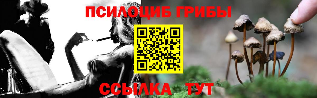 Галлюциногенные грибы GOLDEN TEACHER  Вход с VPN  Фролово 
